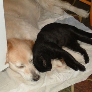 Meet your Posher, Phyllis